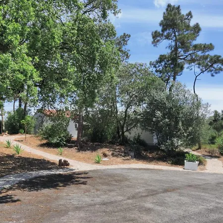 B&B Quinta Do Alento 세심브라