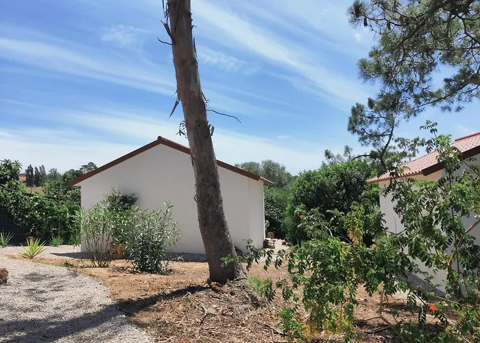 Quinta Do Alento Bed and Breakfast Σεσίμπρα